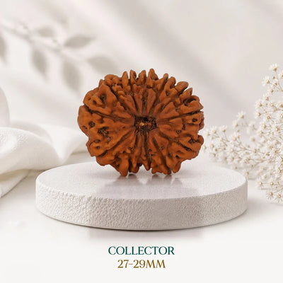 Collector