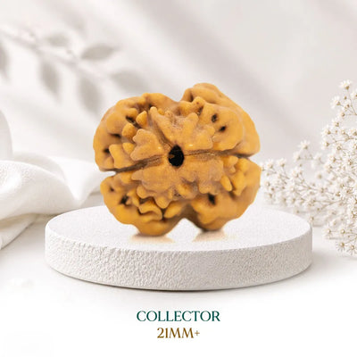 Collector