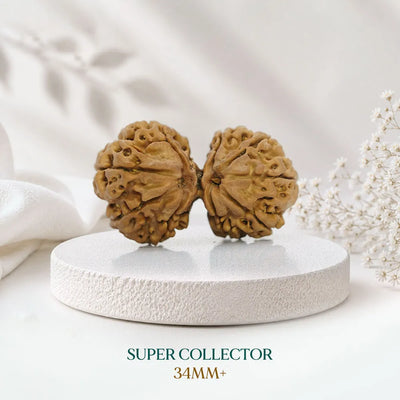 Super Collector