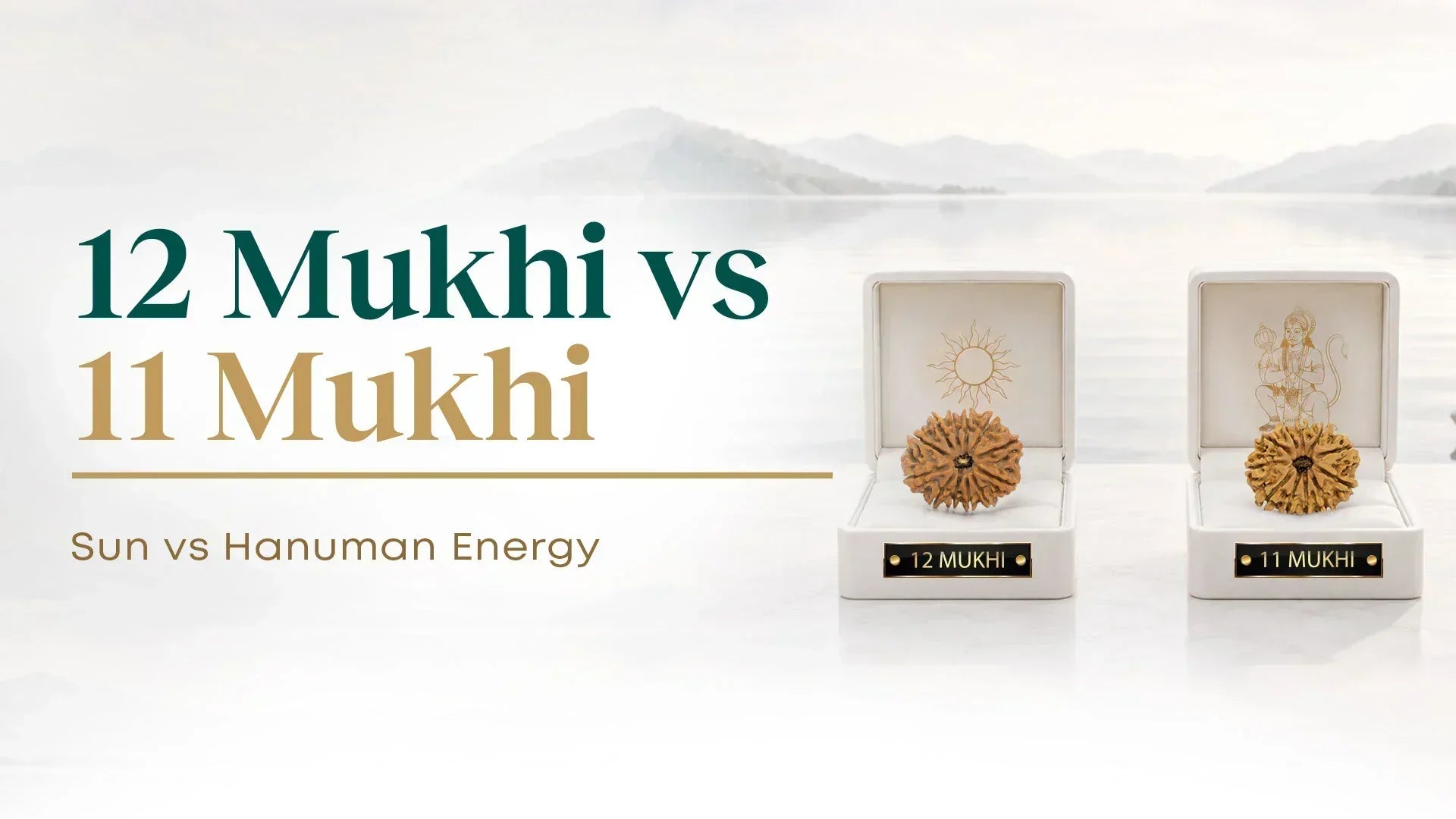 12 Mukhi vs 11 Mukhi Rudraksha — Sun's Clarity or Hanuman's Fearlessness?