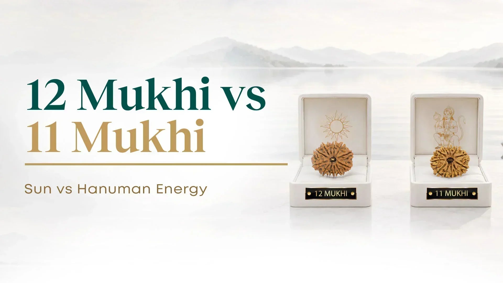 12 Mukhi vs 11 Mukhi Rudraksha — Sun's Clarity or Hanuman's Fearlessness?