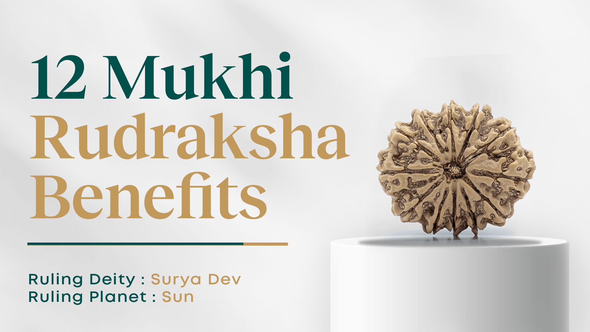 12 Mukhi Rudraksha Benefits (12 Face Rudraksha)