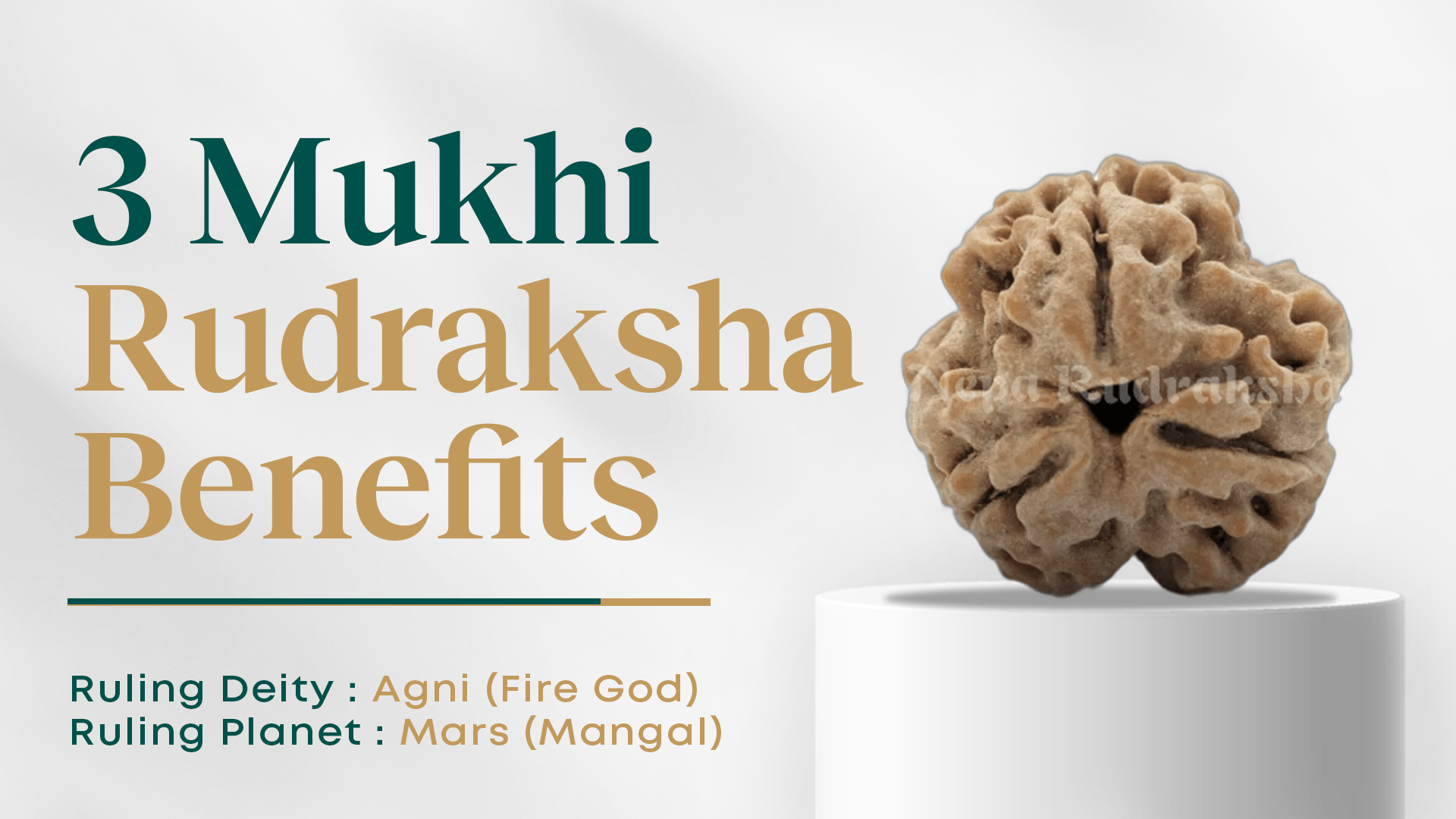 Benefits of 3 Mukhi Rudraksha (3 Face Rudraksha)