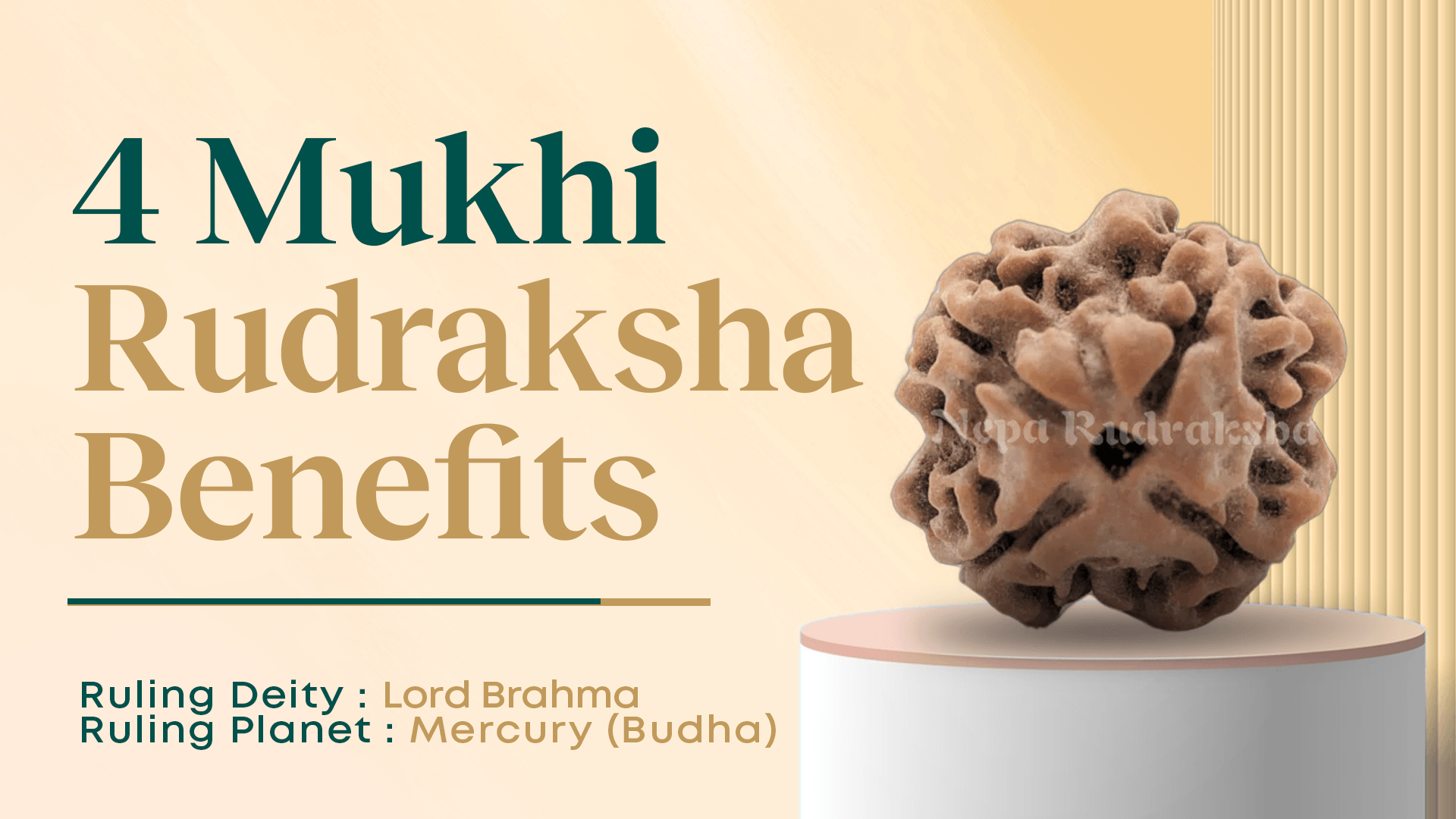 Four Mukhi Rudraksha Benefits (Four Face Rudraksha)