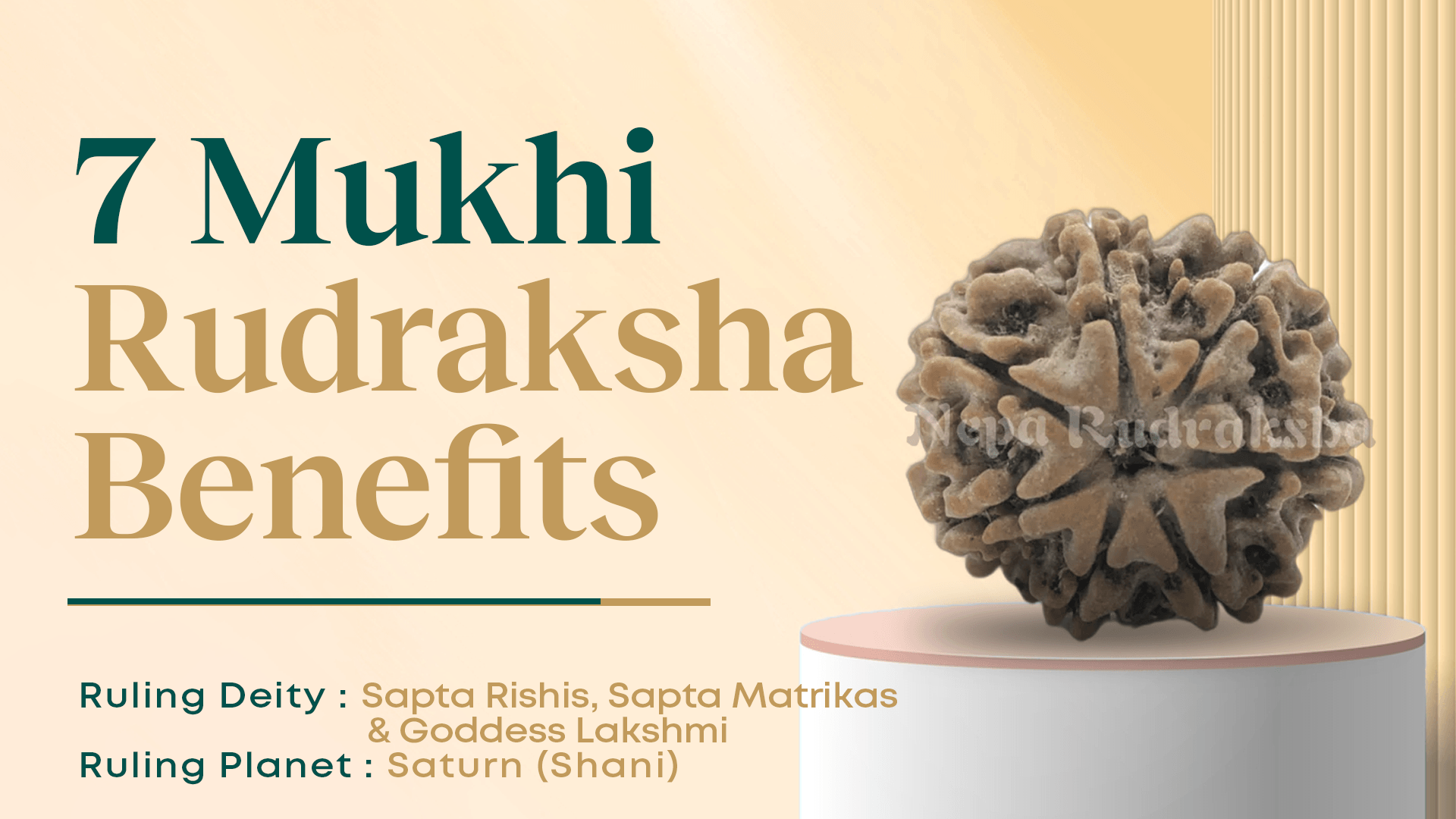 Benefits of Nepali 7 Mukhi Rudraksha (7 Face Rudraksha)