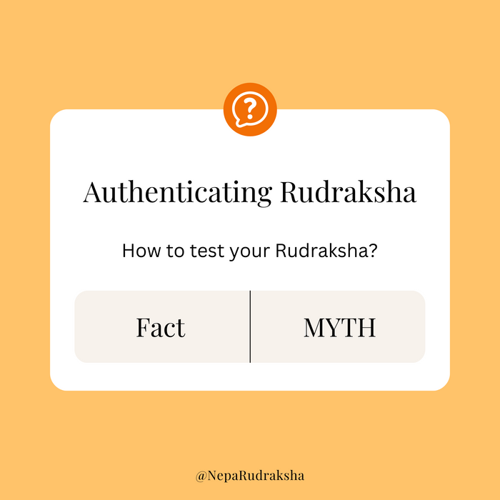 How to identify and check Original Rudraksha? How to Know if a Rudraksha is authentic or Fake?