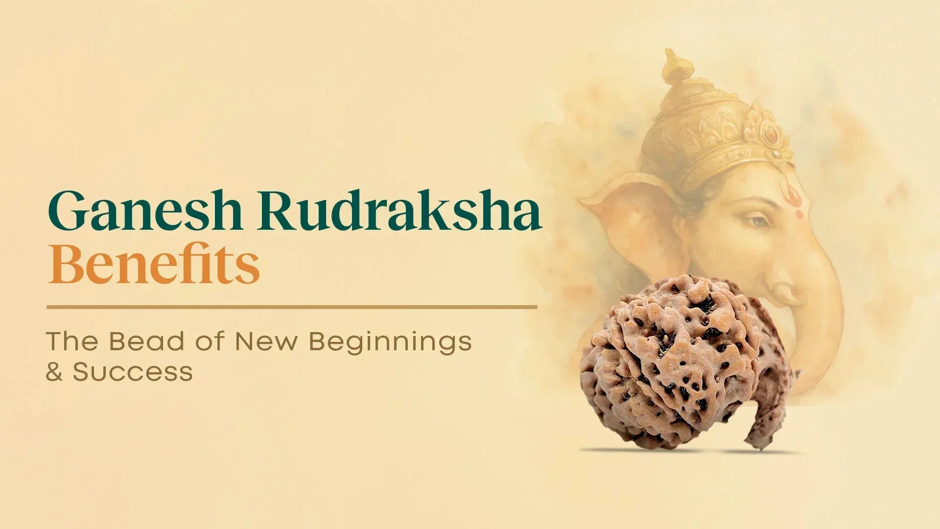 Ganesh Rudraksha Benefits: What It Is, Which Mukhi & How to Wear