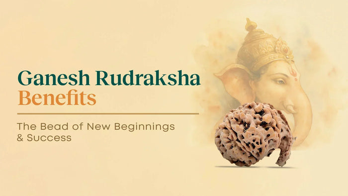 Ganesh Rudraksha Benefits: What It Is, Which Mukhi & How to Wear