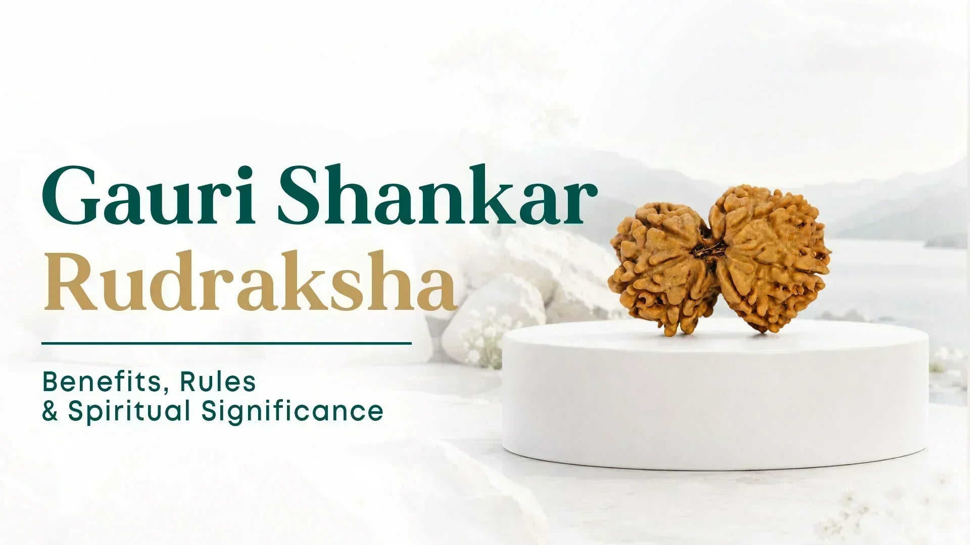 Gauri Shankar Rudraksha Benefits You Should Know 