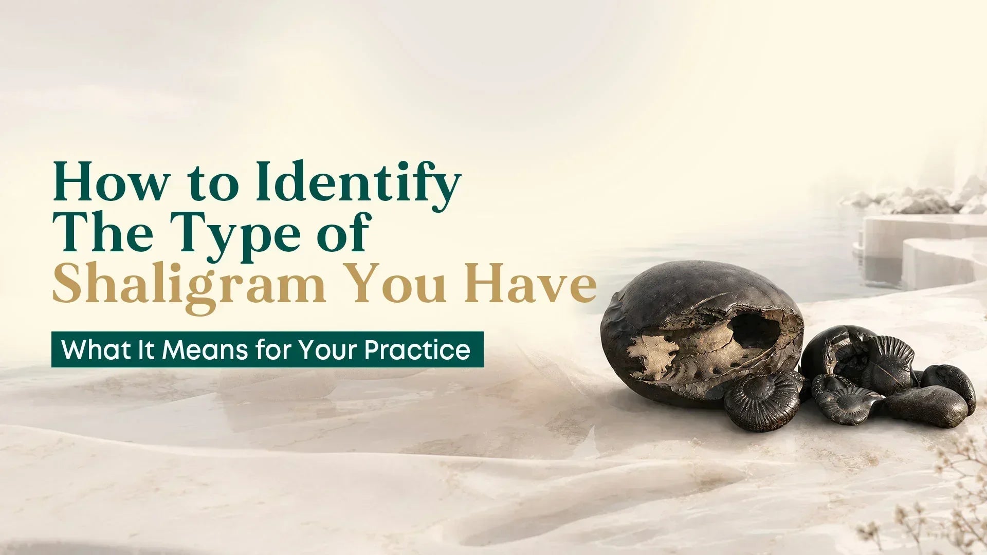 how to identify the type of shaligram 