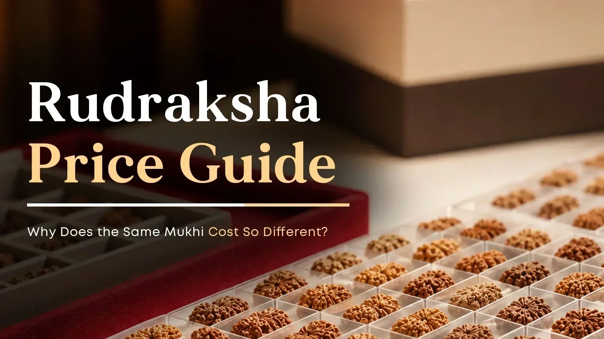 Rudraksha Price Guide 2026: Why Does the Same Mukhi Cost So Different?