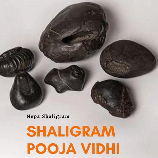The Ultimate Beginners Guide to Worshipping Shaligram (Shaligram Pooja Vidhi) by Nepa Rudraksha