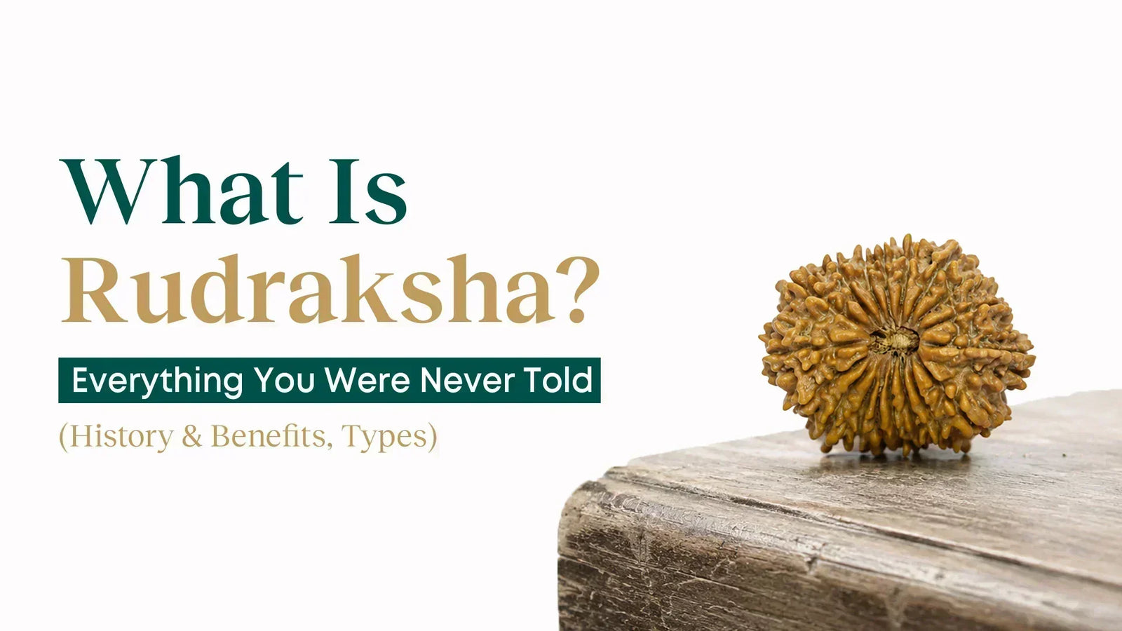 What Is Rudraksha? Everything You Were Never Told - (History, Benefits & Types)