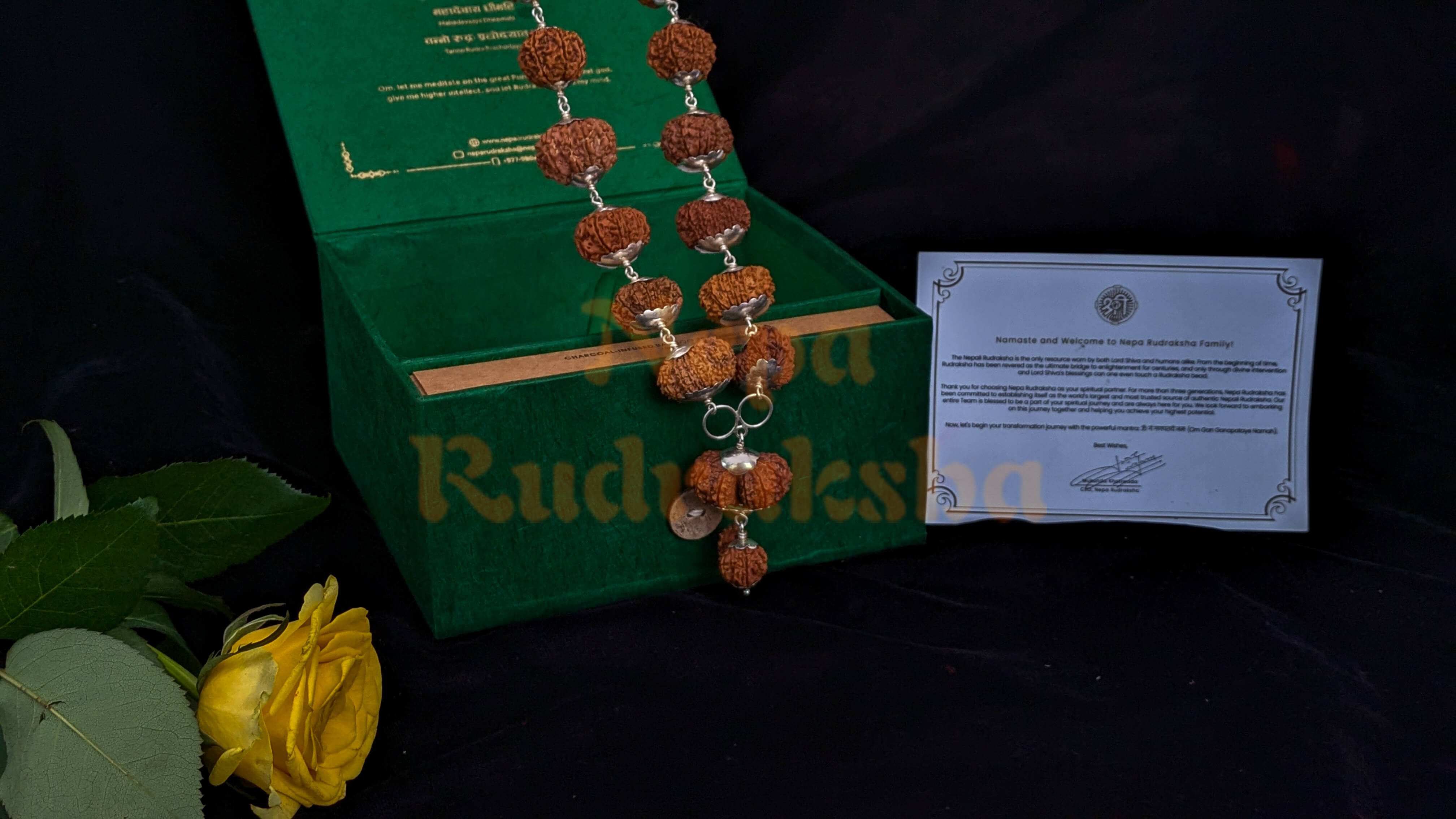 rudraksha-mala-from-nepa-rudraksha