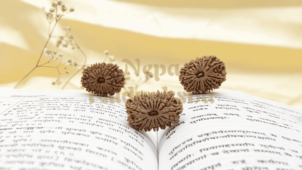 Frequently Asked Questions About Rudraksha - Nepa Rudraksha