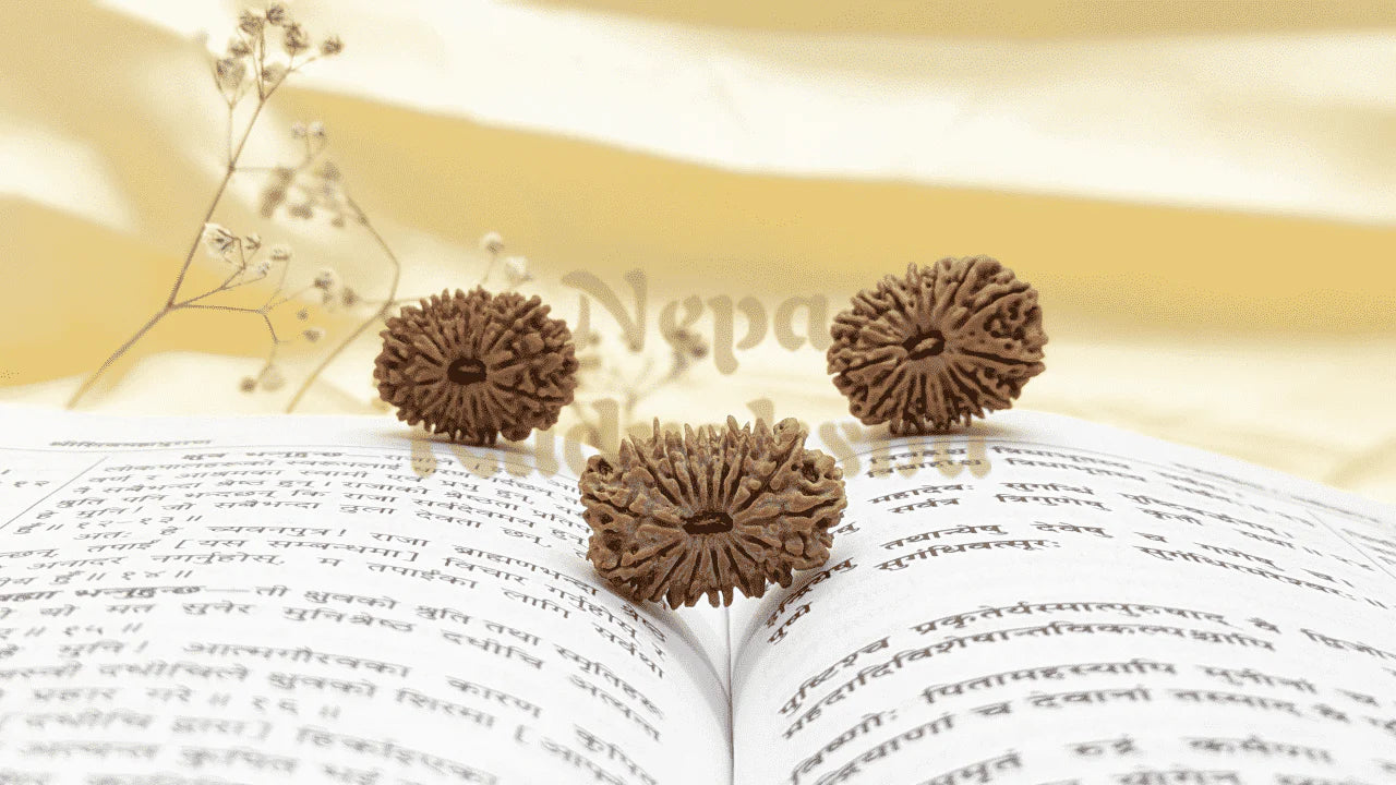 Frequently Asked Questions About Rudraksha