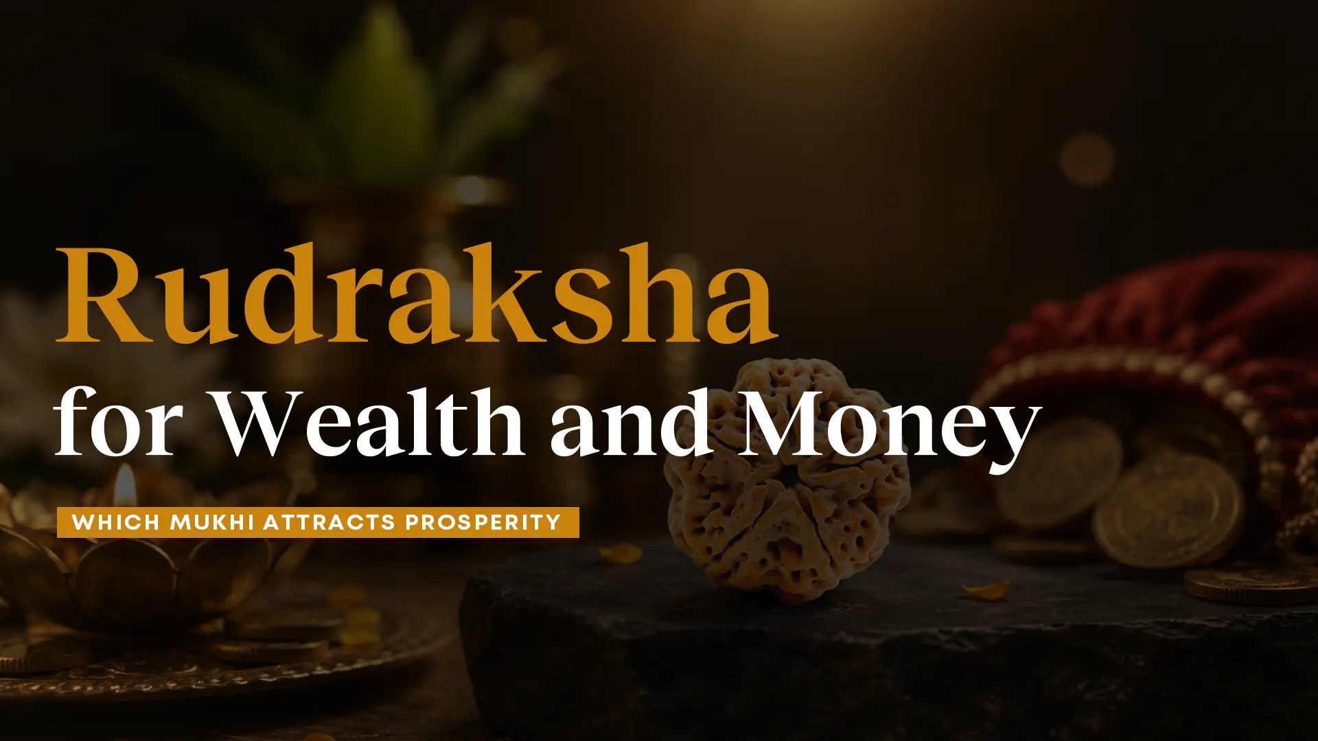 Rudraksha for Wealth: Which Mukhi Attracts Money & Prosperity