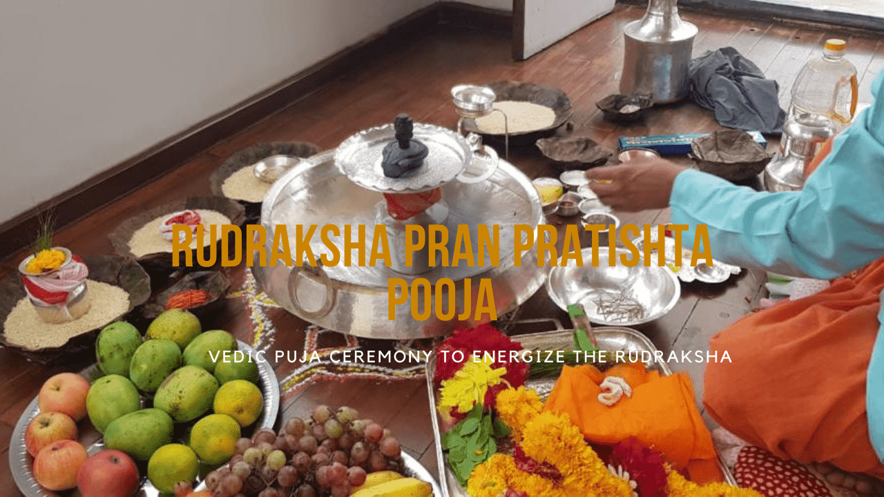 Rudraksha Prana Pratishtha Pooja: Significance, Procedure, and Benefits