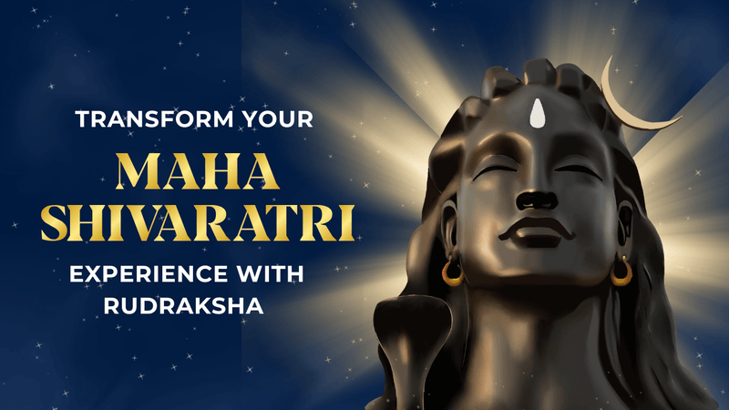 transform-maha-shivaratri-experience-with-rudraksha