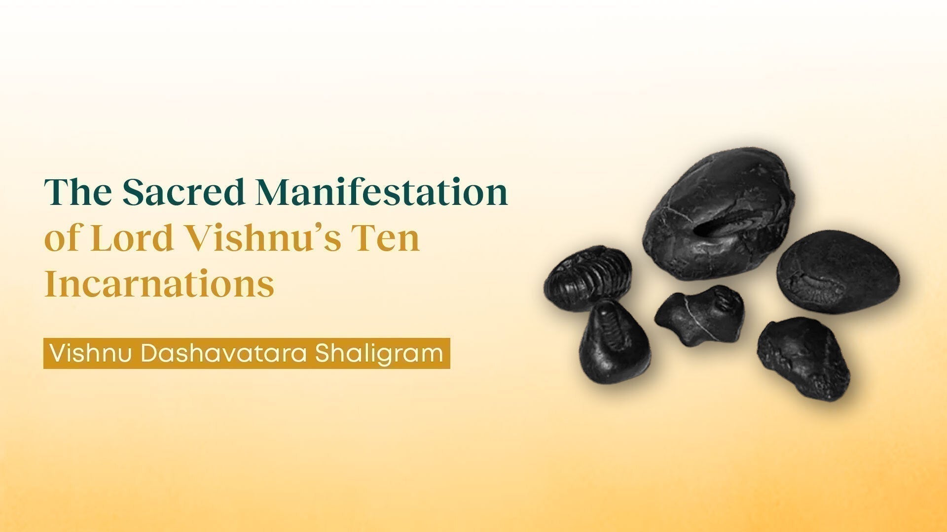 Vishnu Dashavatara Shaligram: The Sacred Manifestation of Lord Vishnu’s Ten Incarnation