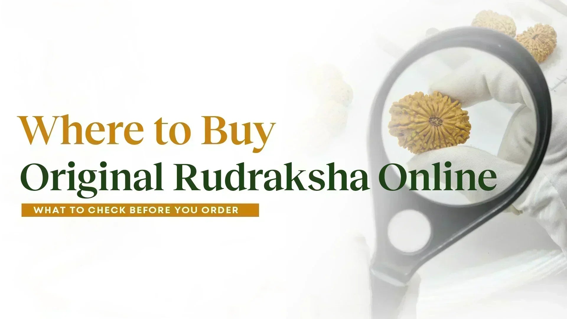 Where to Buy Original Rudraksha Online: What to Check Before You Order