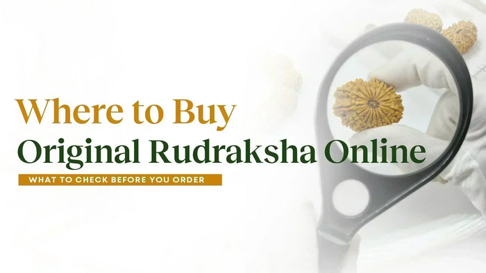 Where to Buy Original Rudraksha Online: What to Check Before You Order