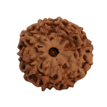 10 mukhi