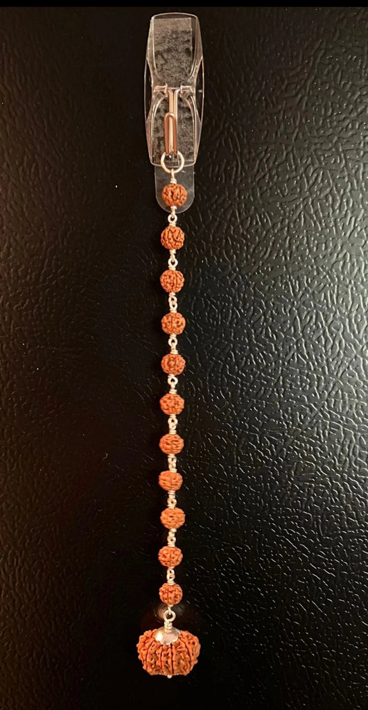 10 Mukhi Rudraksha