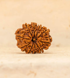 10 Mukhi