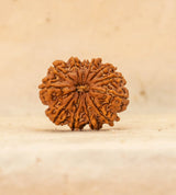 12 Mukhi