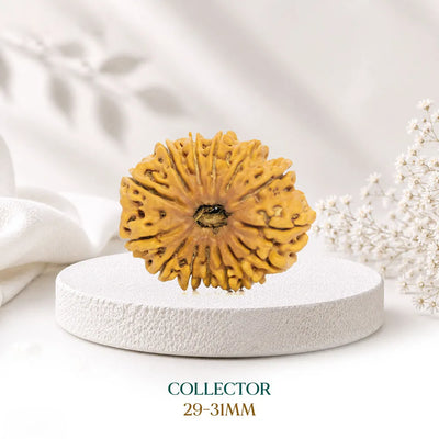 Collector