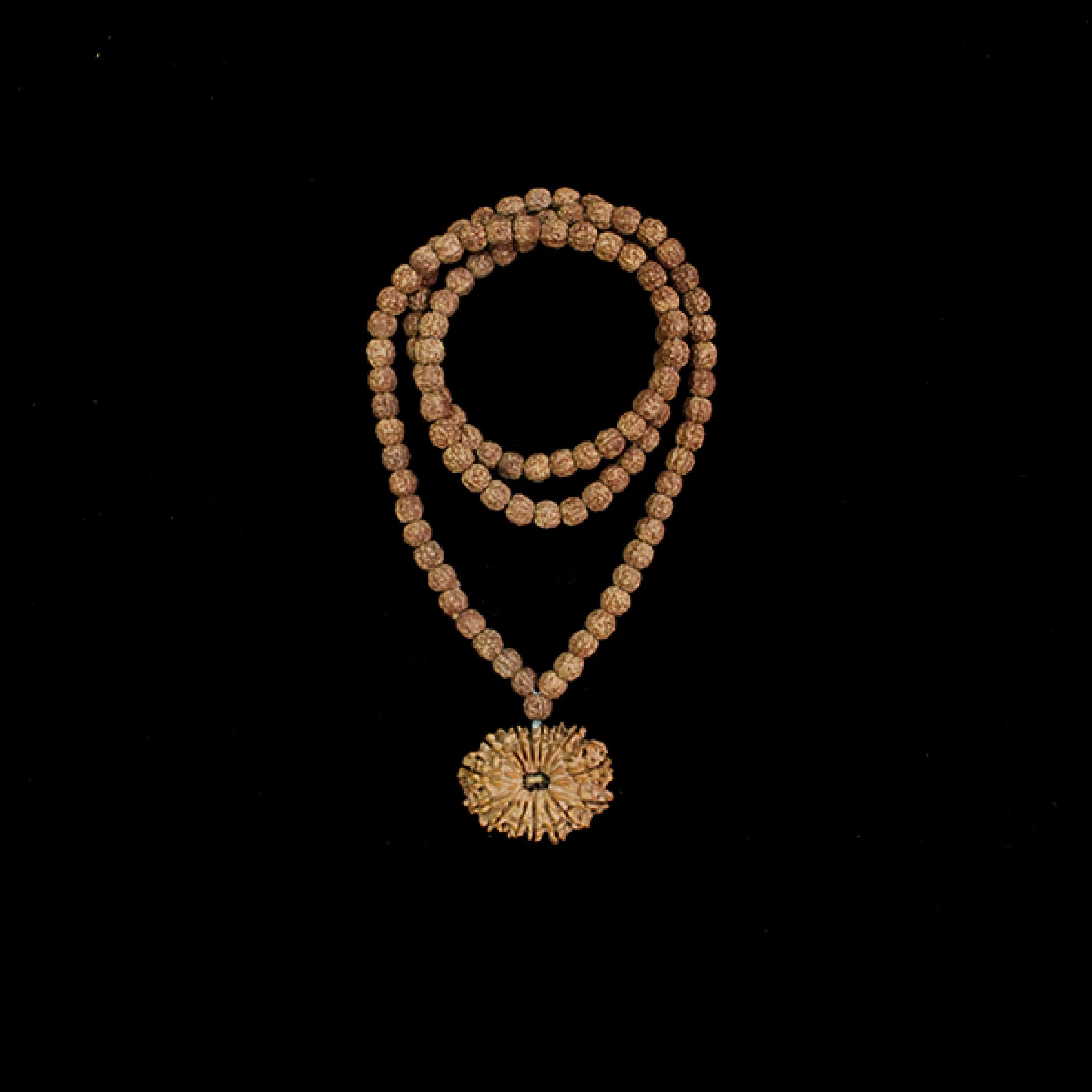 14 Mukhi Brihaspati (Jupiter) Mahadasha