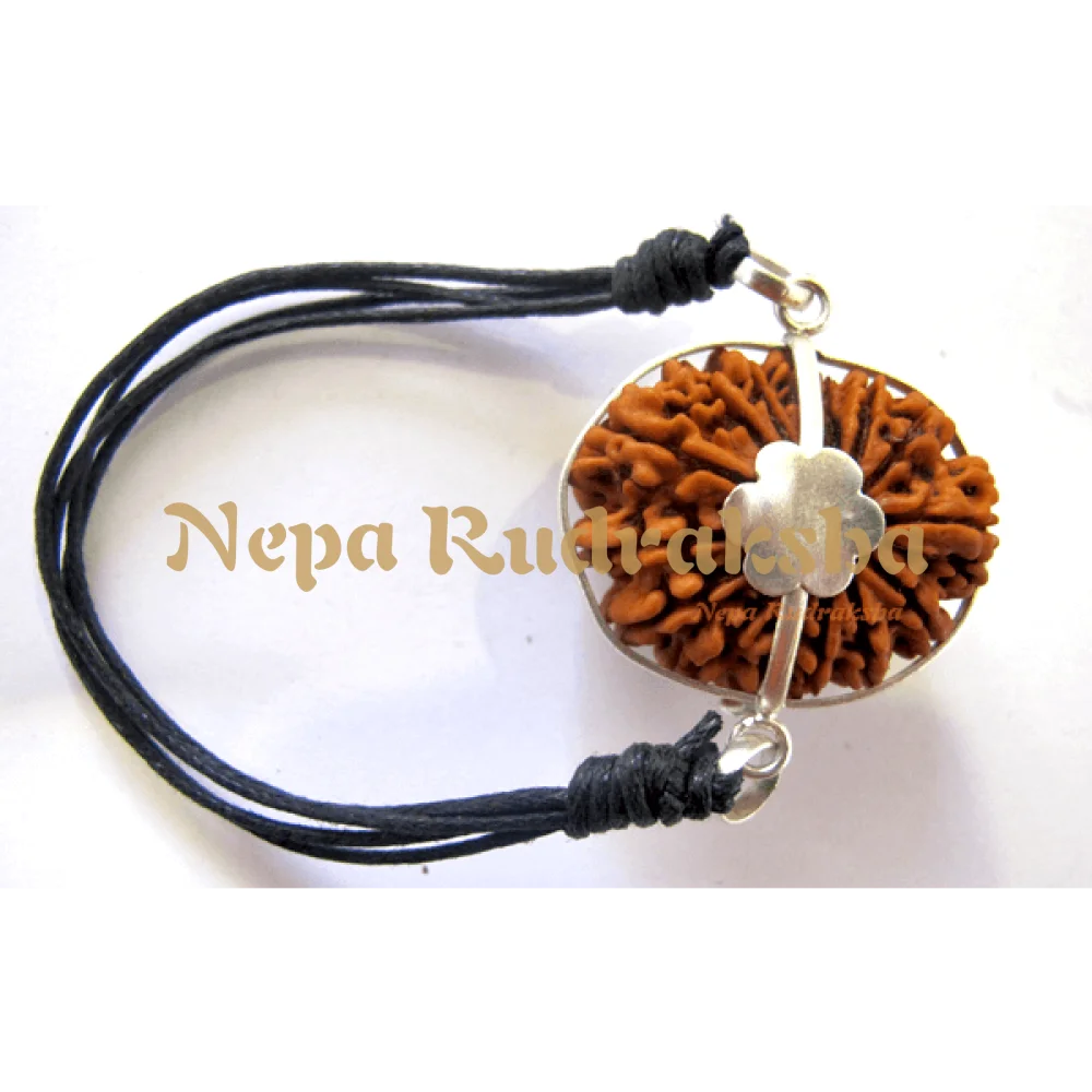 15 Mukhi (15MB)