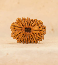 15 Mukhi