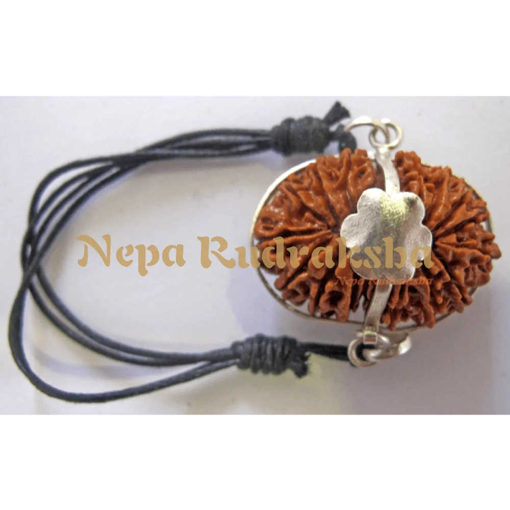 16 Mukhi (16MB)