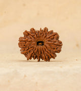 16 Mukhi