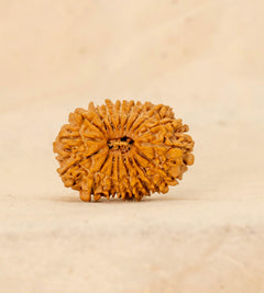 18 Mukhi