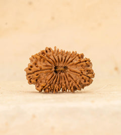19 Mukhi