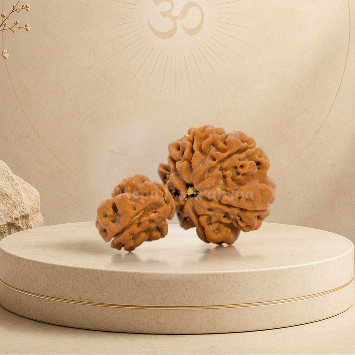 1 Mukhi Savar