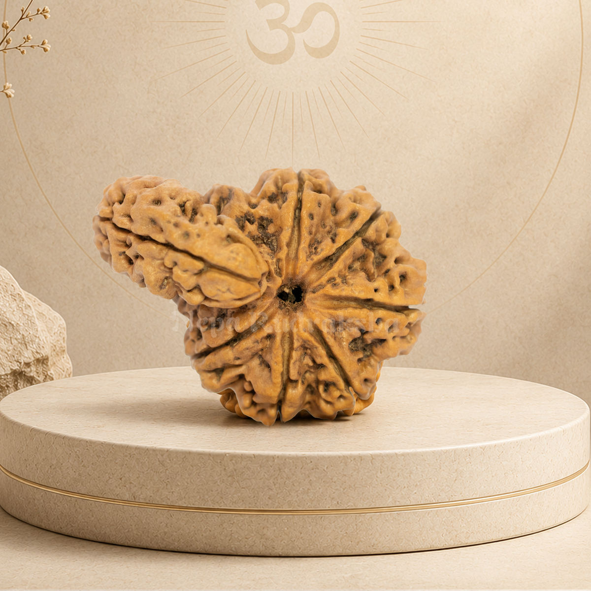 1 Mukhi Savar