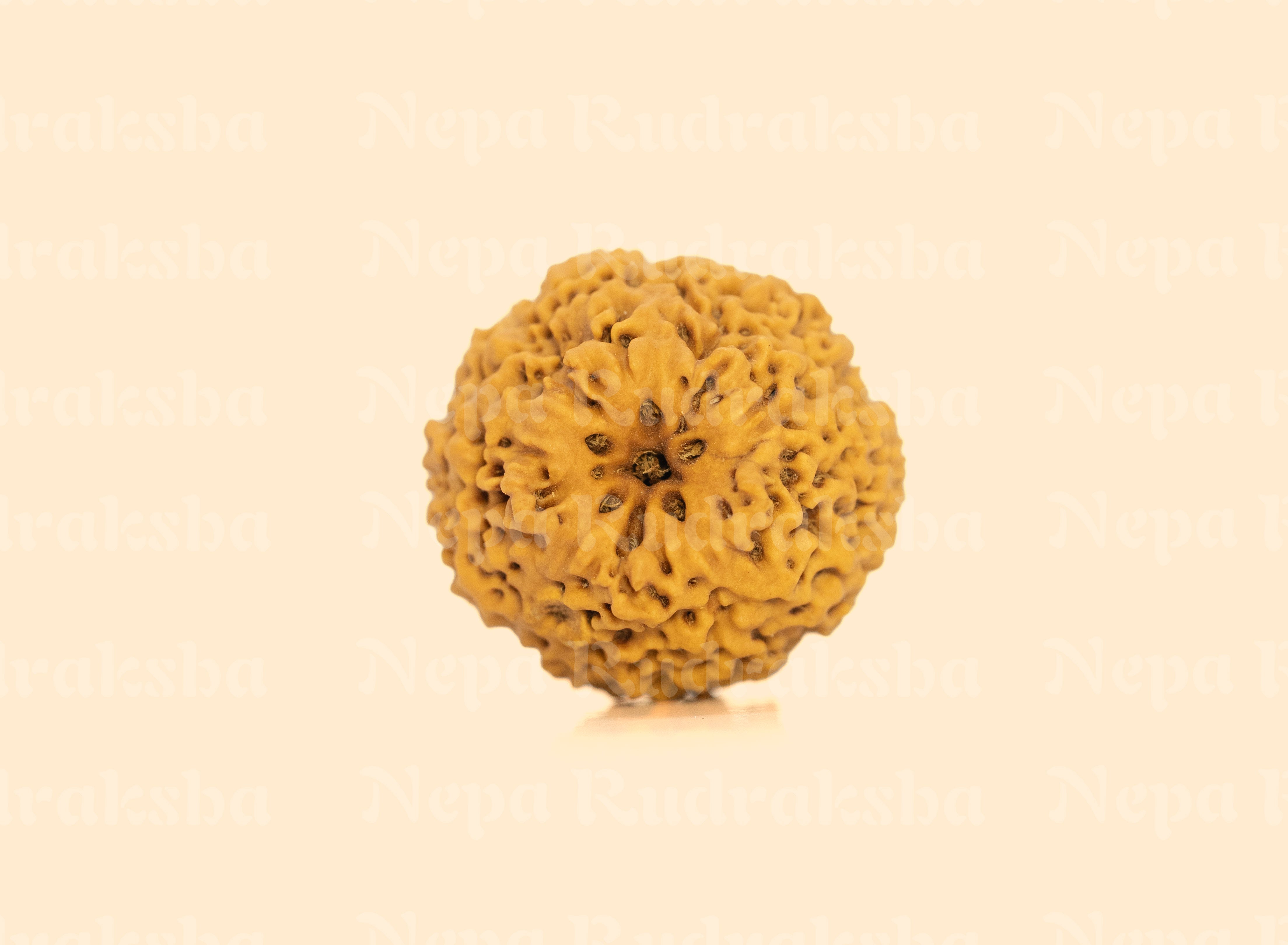 Nirakar (0 Mukhi) Round