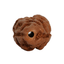 2 mukhi