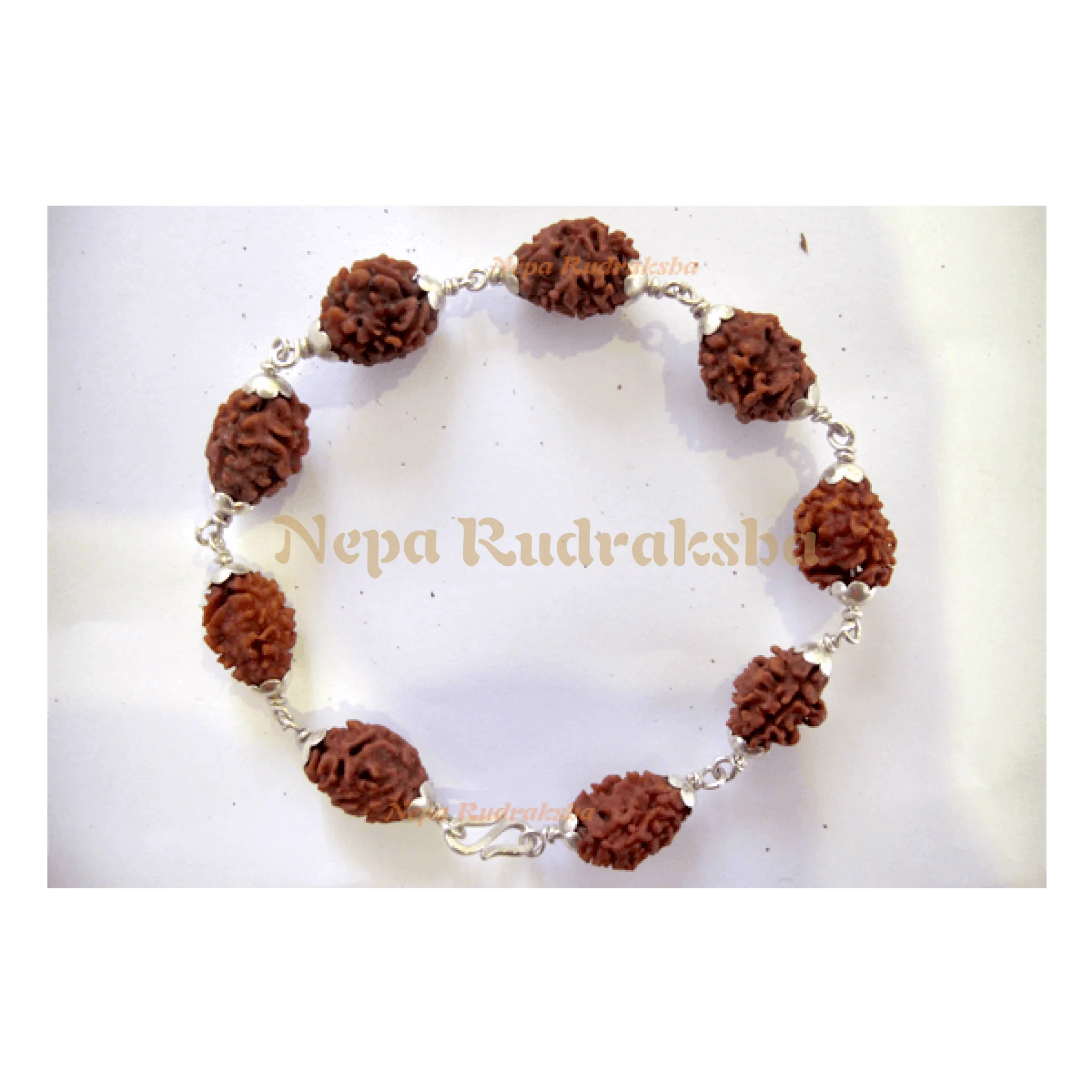 2 Mukhi (Chandra bracelet)
