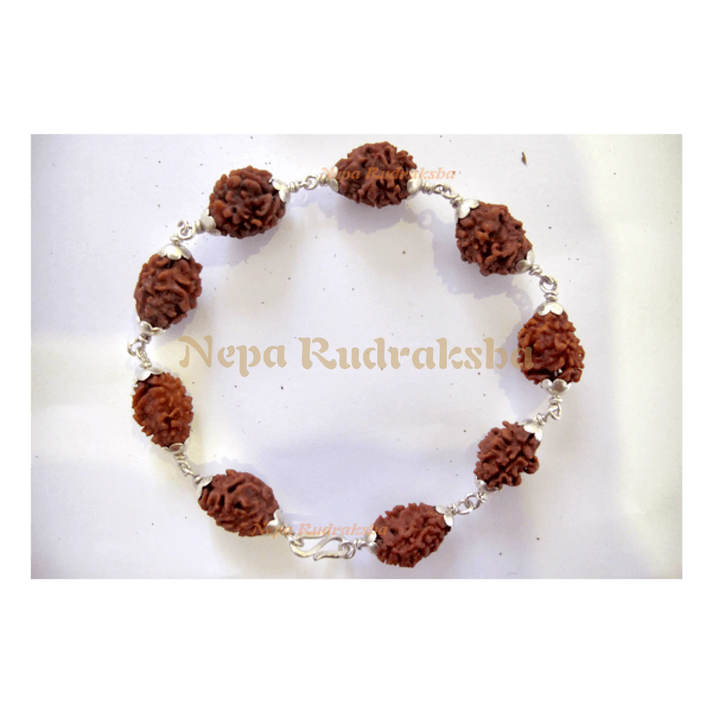 2 Mukhi (Chandra bracelet)
