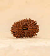 20 Mukhi