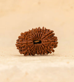 20 Mukhi