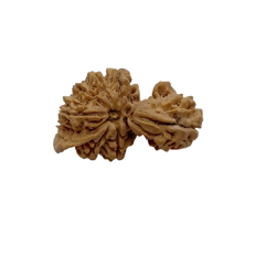 1 Mukhi Savar Ganesh