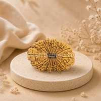 20 Mukhi Rudraksha