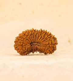22 Mukhi
