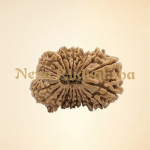 Regular